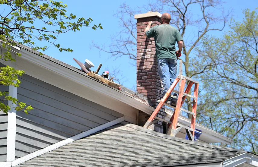 Chimney & Fireplace Inspections Services in Geneva, IL